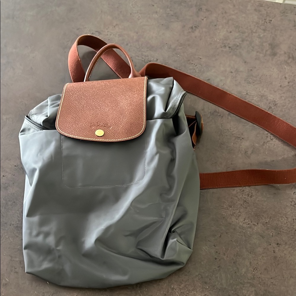 Longchamp Gray and Brown Backpack